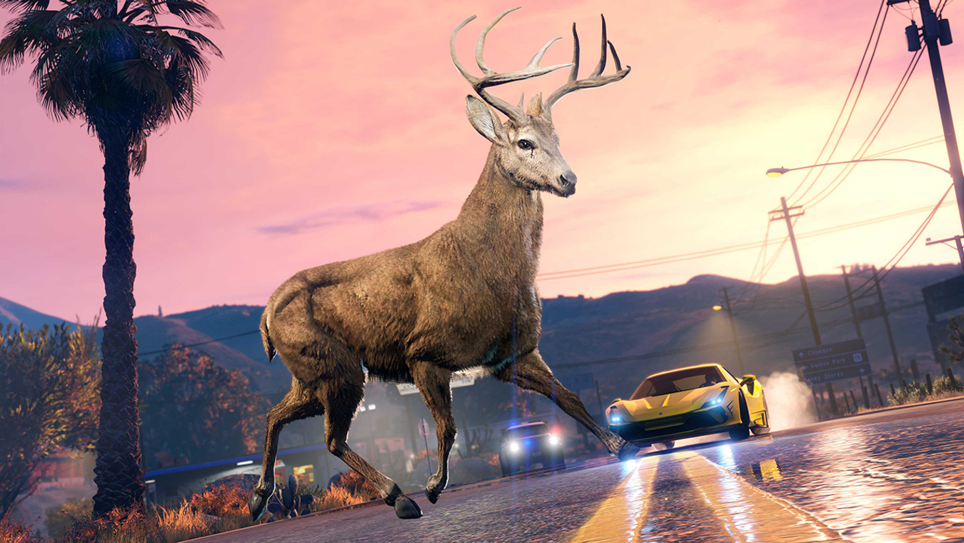 GTA Online Animals: Where Are They And Why Aren't They Showing