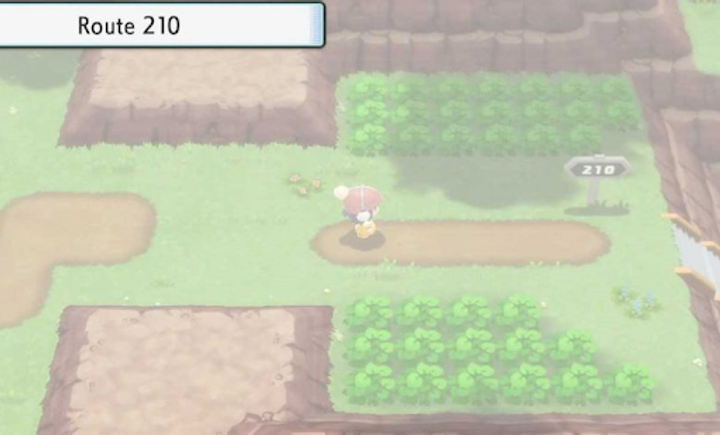 How to get Defog in Pokémon Brilliant Diamond and Shining Pearl