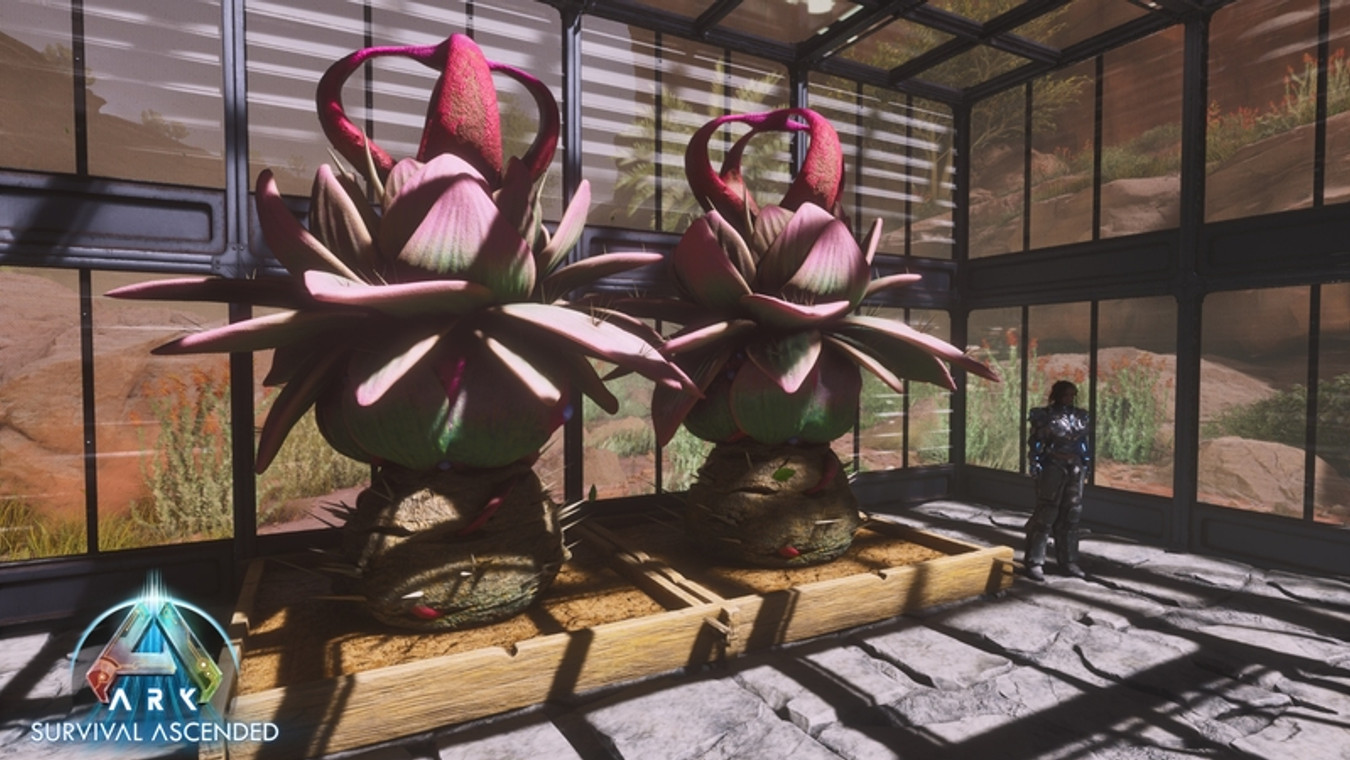 ARK Plant Species Y Guide: How To Use and Grow in Scorched Earth