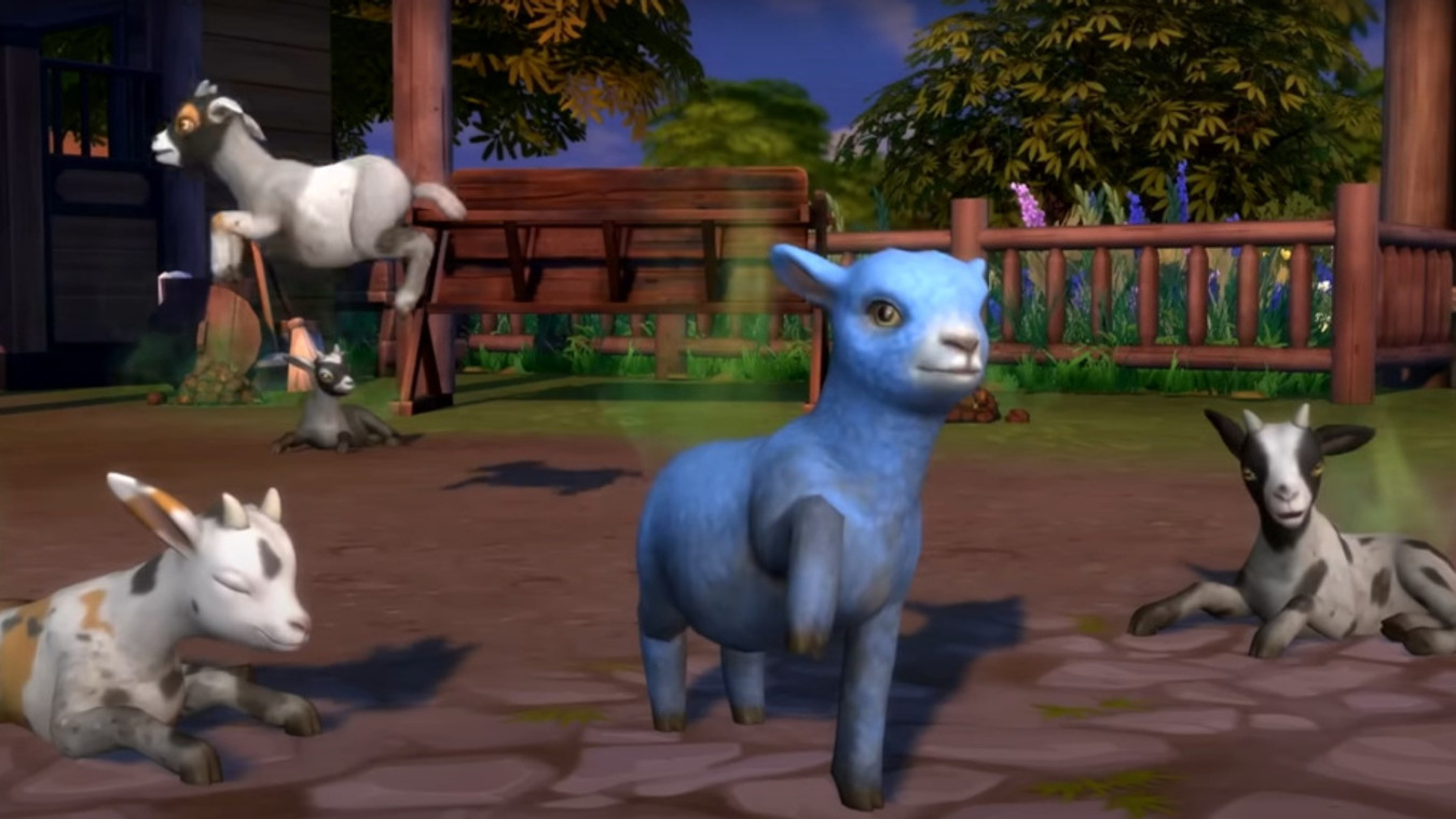 How To Get Sheep In The Sims 4 Horse Ranch
