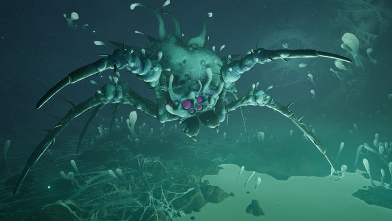 Where Is The Infected Broodmother In Grounded?