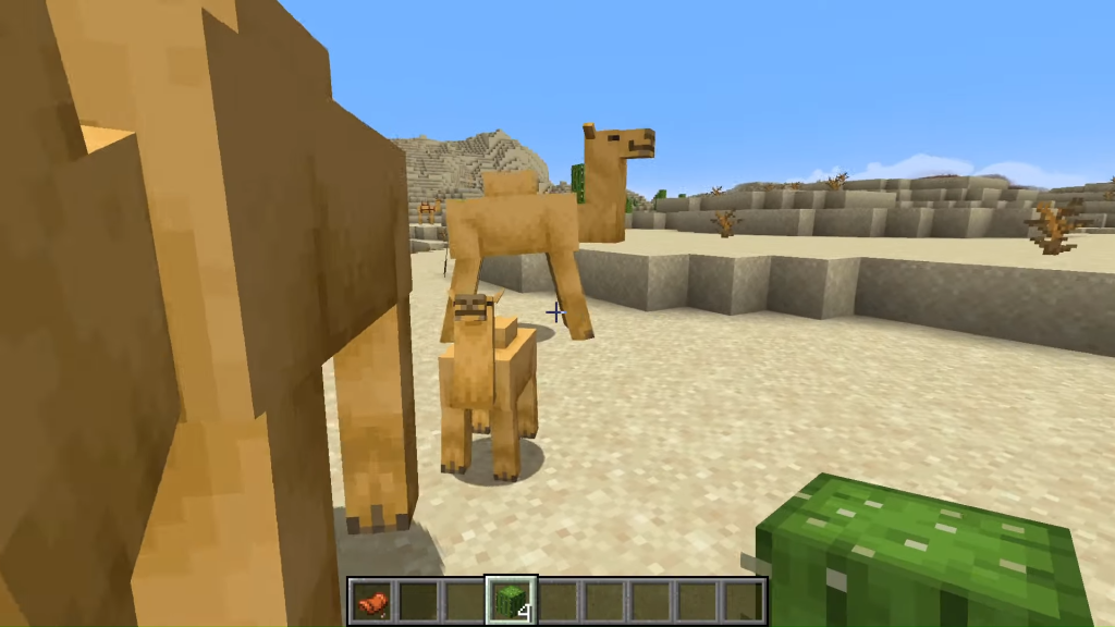 Feed cactus to camels to get baby camel. (Picture: Mojang/JayDeeMC)