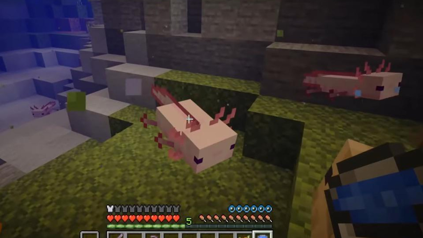 Minecraft: How to tame and breed Axolotls