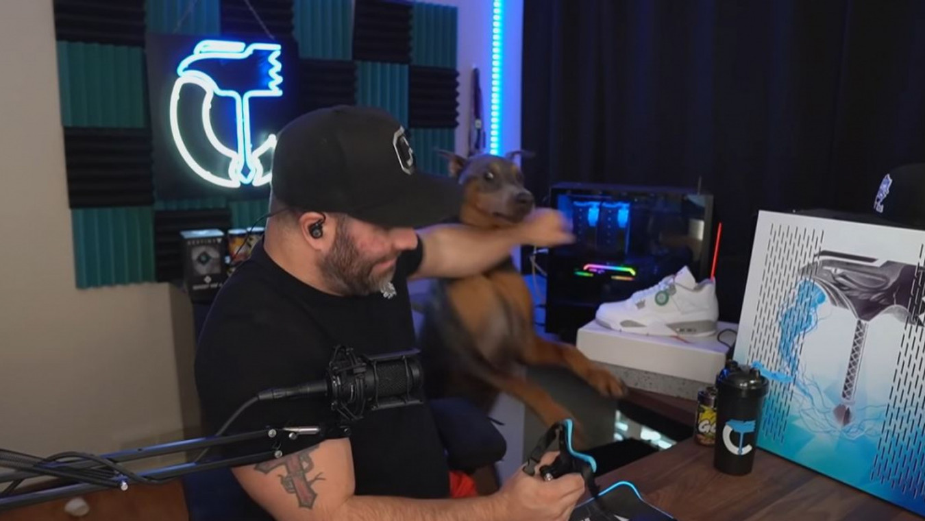 Destiny 2 streamer slammed for pushing his dog into a mini fridge
