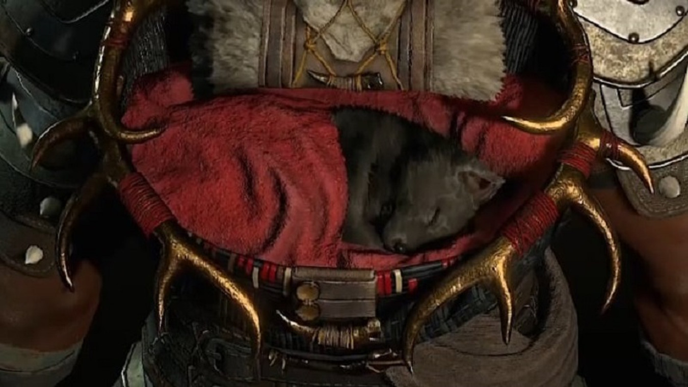 How To Pet Cats & Dogs in Diablo 4