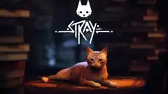 Stray - How To Unlock All Hidden Achievements On Steam
