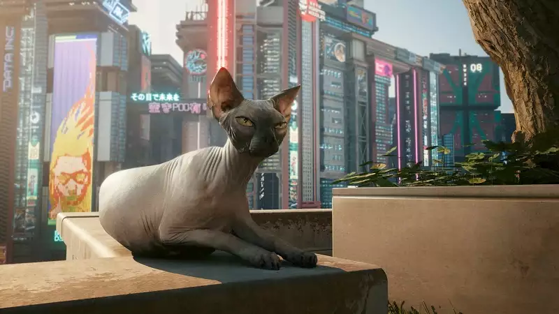 Cyberpunk 2077 overdrive mode path tracing enabled pc specs system requirements GPU drivers NVIDIA RTX settings graphics