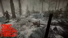 Can You Remove the Snow in Sons of the Forest?