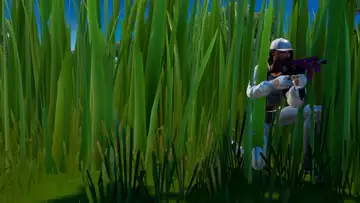 Where to Hide in Stealth Grass for 10 seconds - Fortnite Stealth Grass locations
