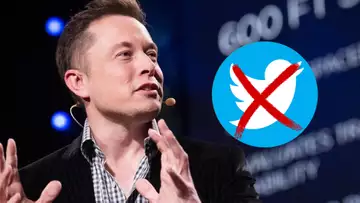 Elon Musk Could Step Down As Head Of Twitter