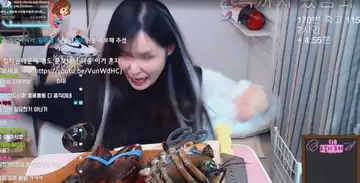 Watch the moment Korean Mukbang streamer realised her lobster still had life