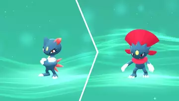 How to evolve Sneasel into Weavile in Pokemon Legends Arceus