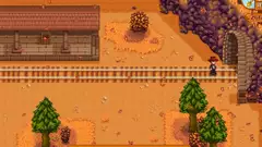 'A Train is Passing Through Stardew Valley' Explained