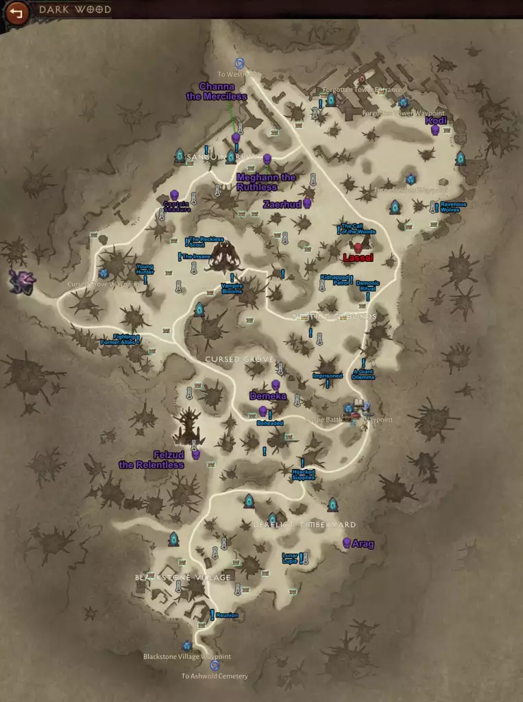 Diablo Immortal Dark Wood map region