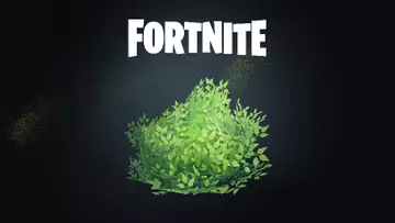 How To Get Bush Bomb In Fortnite