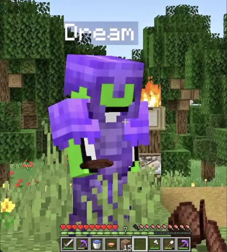 dream youtube minecraft star