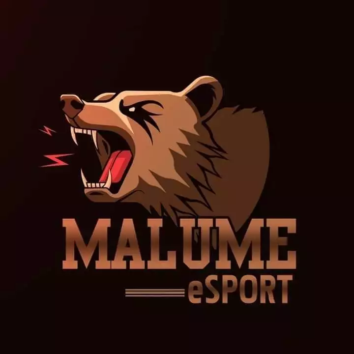 malumes playground family playing centre esports team plans