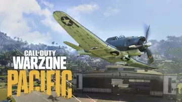 Warzone player wins by flying plane in Solo Vanguard the entire match