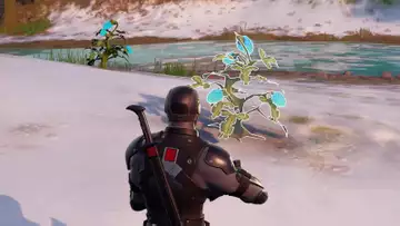 What to do with Klomberries in Fortnite Chapter 3 Season 2