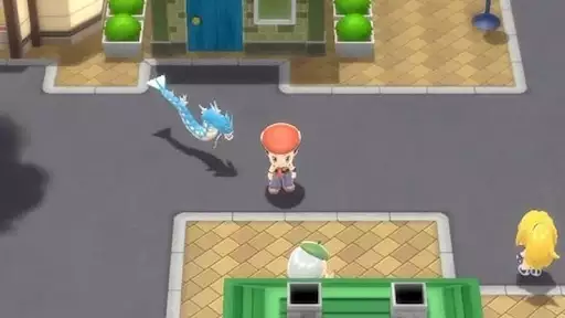 Pokemon how to walk with pokemon