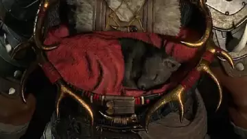 How To Pet Cats & Dogs in Diablo 4