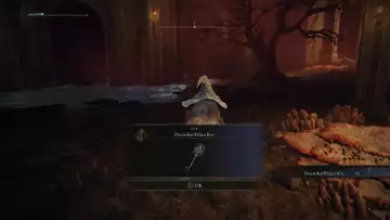 How to get and use the Discarded Palace Key in Elden Ring