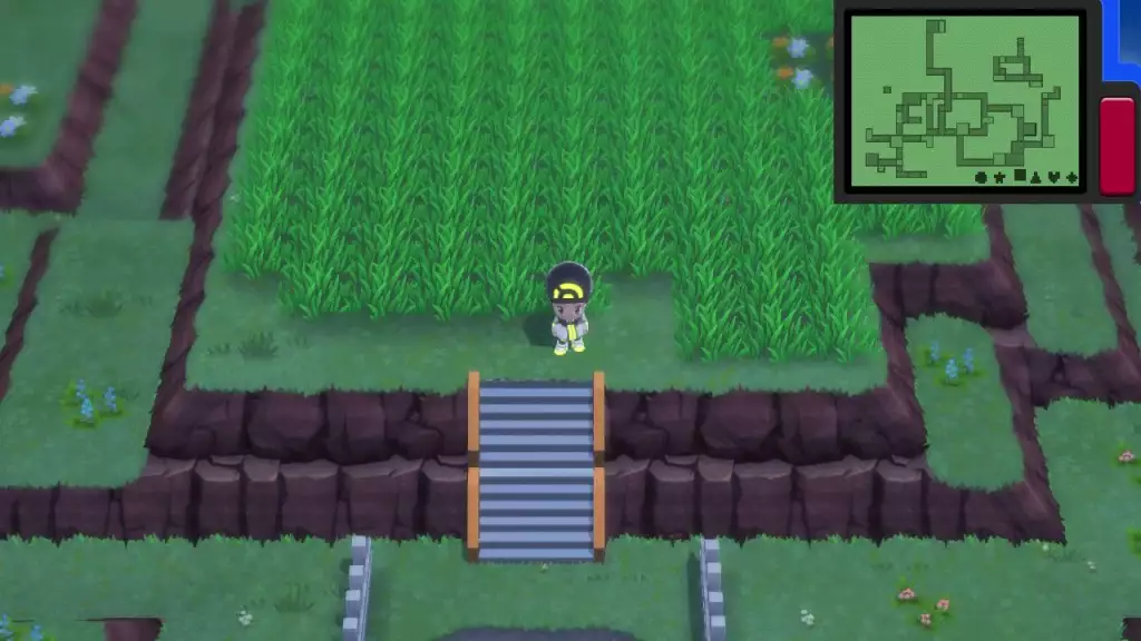 The Trophy Garden in Pokémon Brilliant Diamond and Shining Pearl. (Picture: Game Freak)